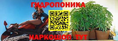 герыч Новозыбков